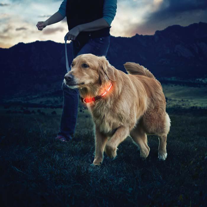 Nite Ize Nite Dawg® LED Dog Collar | Reflective | Glow | Flash Illumination